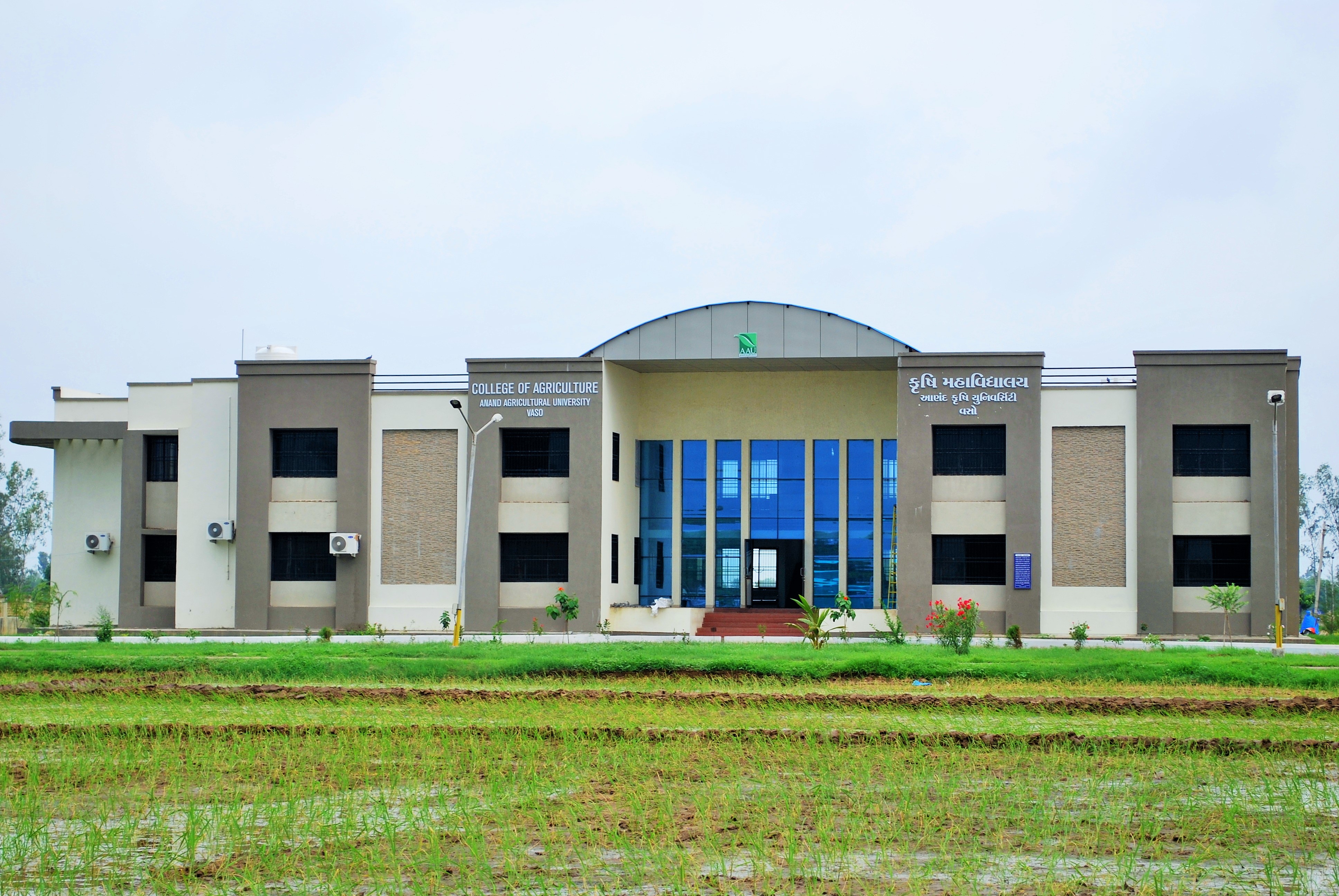 College of Agriculture and Polytechnic in Agriculture